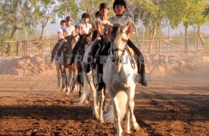 http://oferplan-imagenes.laverdad.es/sized/images/11693955_1024796917532900_9214793159557170318_n-300x196.jpg